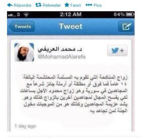 Suriah-hoaxnya berita ttg jihad seks-tweet el arefi-jpeg.image