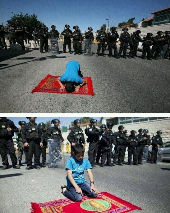 Palestina-anak-palestina-yang-berani-2-jpeg.image