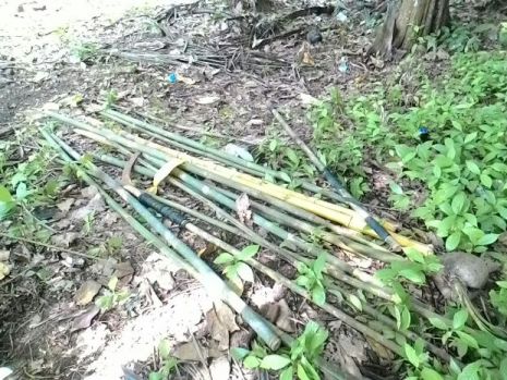 bambu runcing3