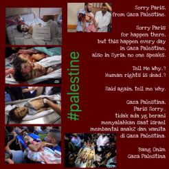 Palestina-paris-1-jpeg.image